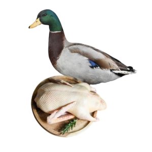 Deshi Duck-1Kg